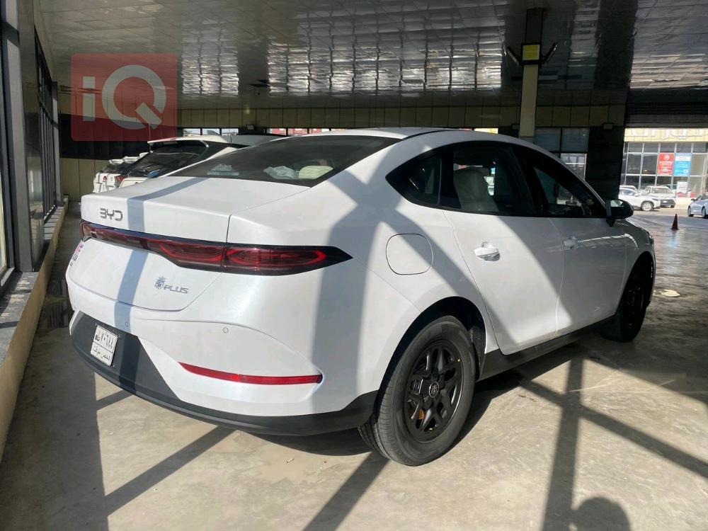 بی وای دی کوێن L DM-i